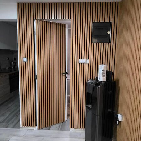 Apartman Tea Νόβι Σαντ Εξωτερικό φωτογραφία
