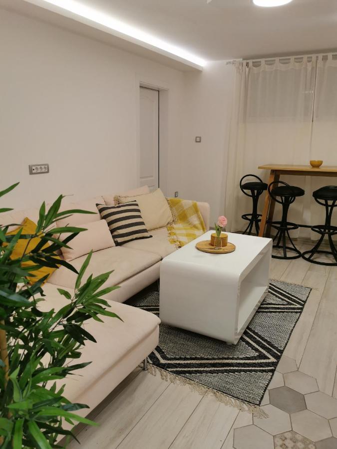 Apartman Tea Νόβι Σαντ Εξωτερικό φωτογραφία