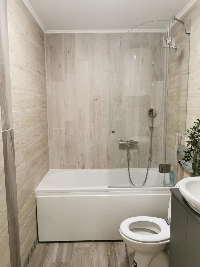 Apartman Tea Νόβι Σαντ Εξωτερικό φωτογραφία