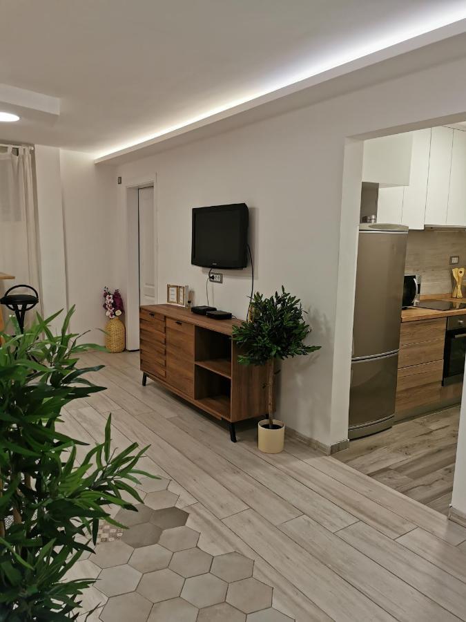 Apartman Tea Νόβι Σαντ Εξωτερικό φωτογραφία