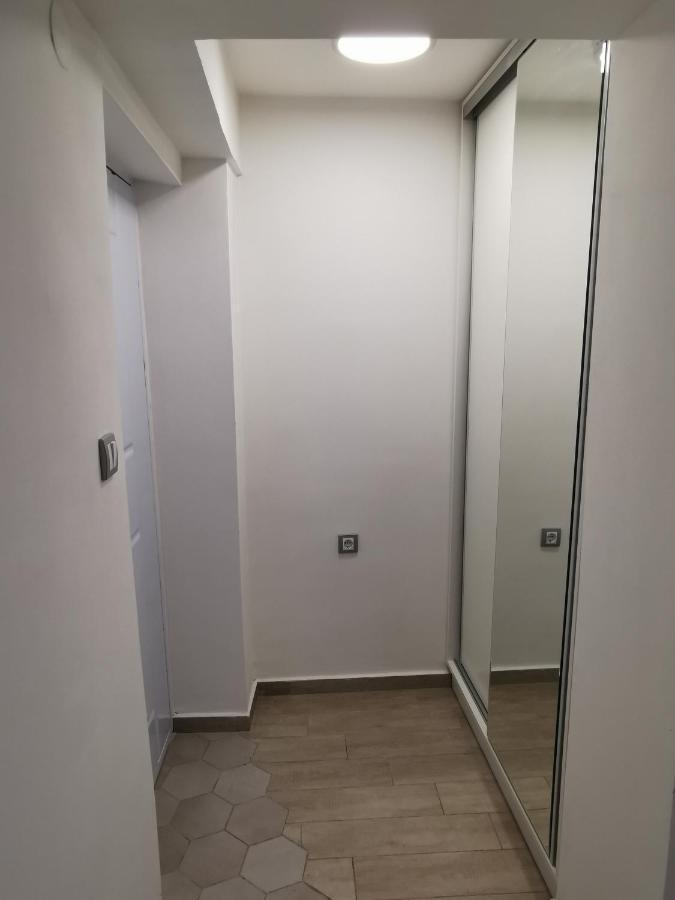 Apartman Tea Νόβι Σαντ Εξωτερικό φωτογραφία