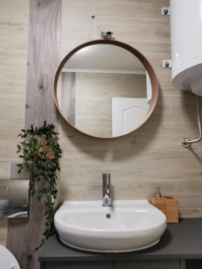 Apartman Tea Νόβι Σαντ Εξωτερικό φωτογραφία